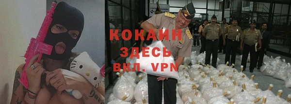 шишки Елизово
