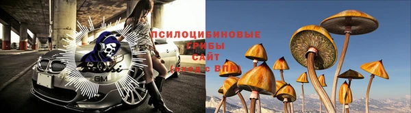 спиды Ельня