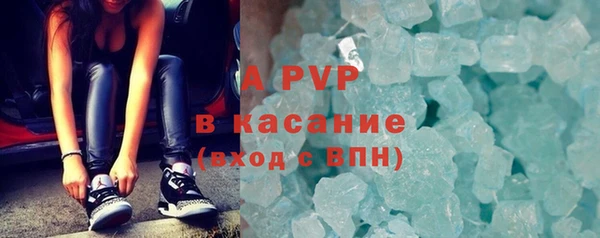 шишки Елизово