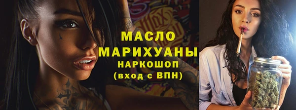 спиды Ельня