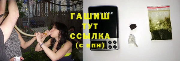 шишки Елизово