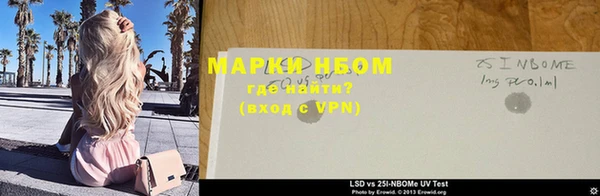 шишки Елизово