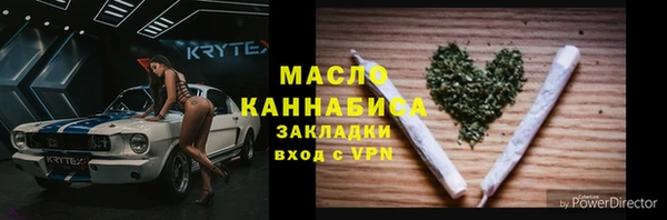 спиды Ельня