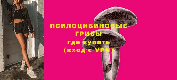 шишки Елизово