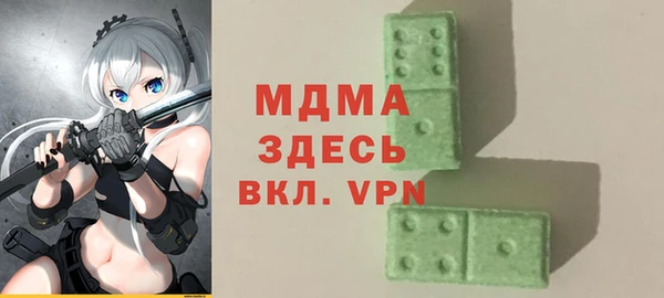 спиды Ельня