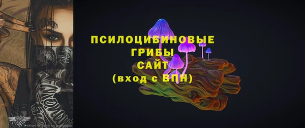 спиды Ельня