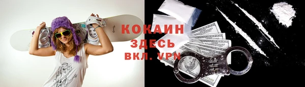 шишки Елизово