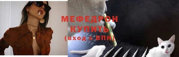 спиды Ельня