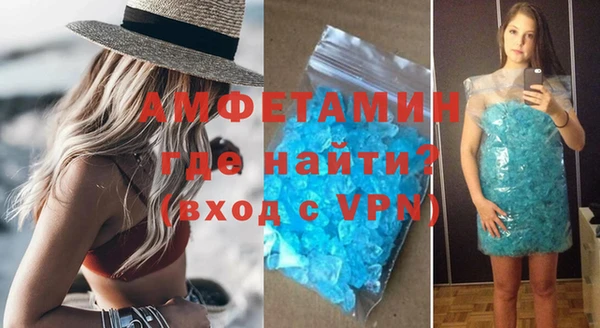 спиды Ельня