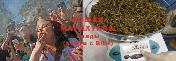 гидропоника Елабуга