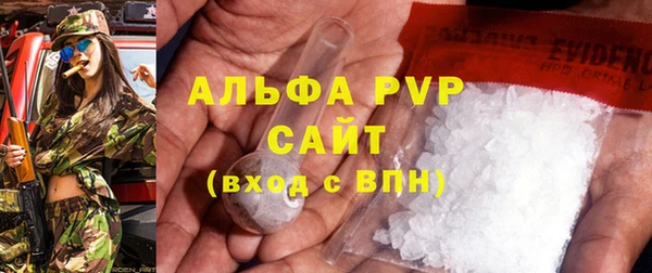 спиды Ельня