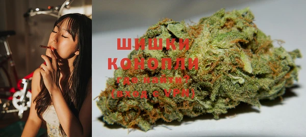спиды Ельня