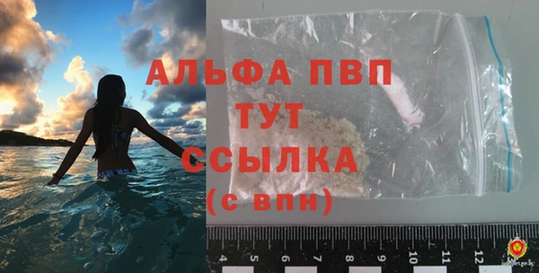 спиды Ельня