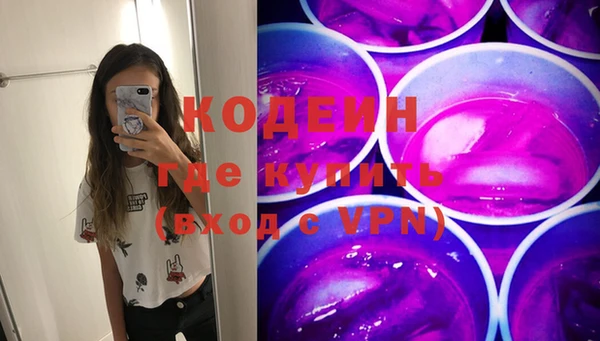 спиды Ельня