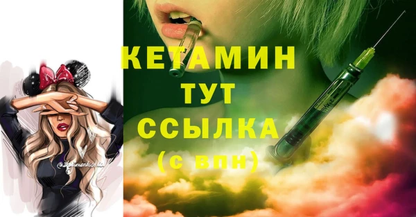 спиды Ельня