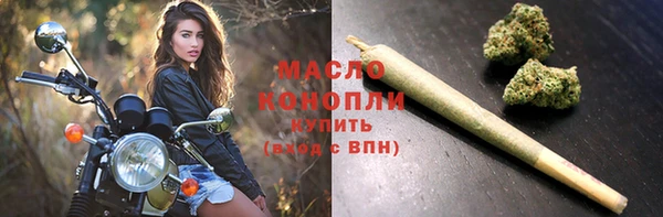 спиды Ельня